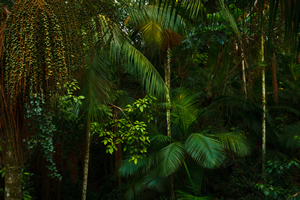 Yacutinga Lodge Iguazu Jungle