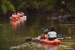 kayaks