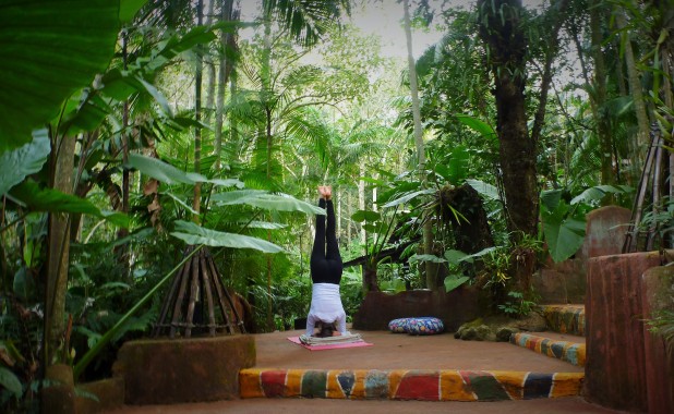 Jungle Yoga