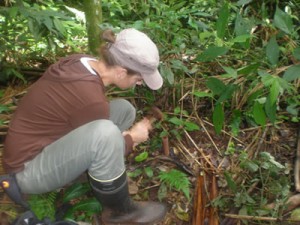 protegiendo-la-selva