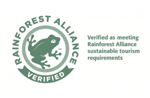 logo rainforest baja