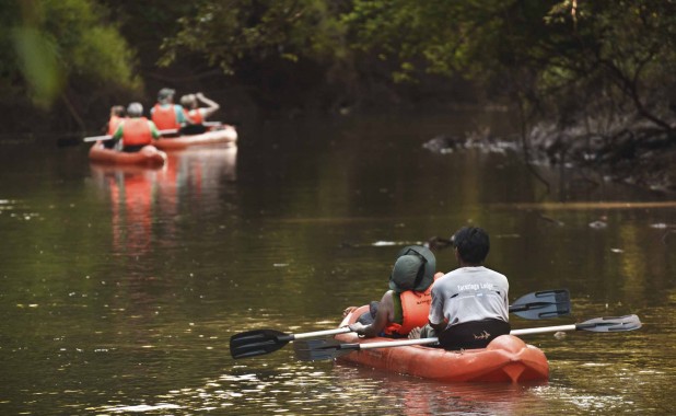 Eco tours - Kayaks