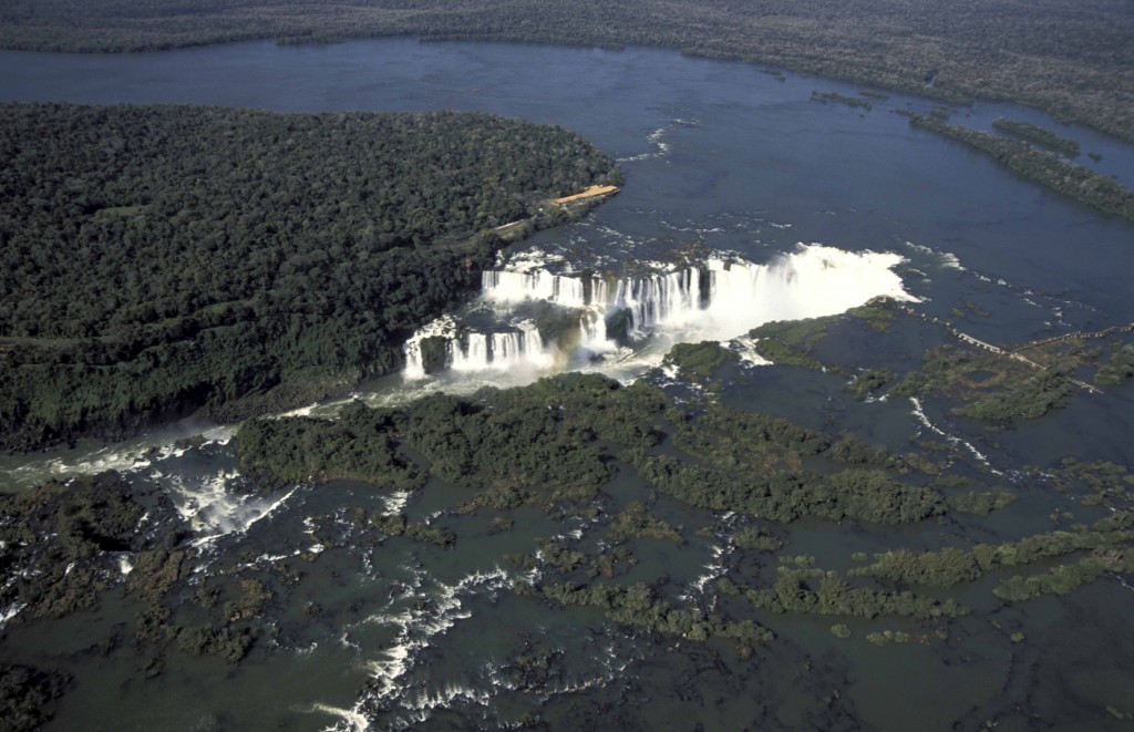 cataratas-del-iguazu-avistaje-de-aves-birding