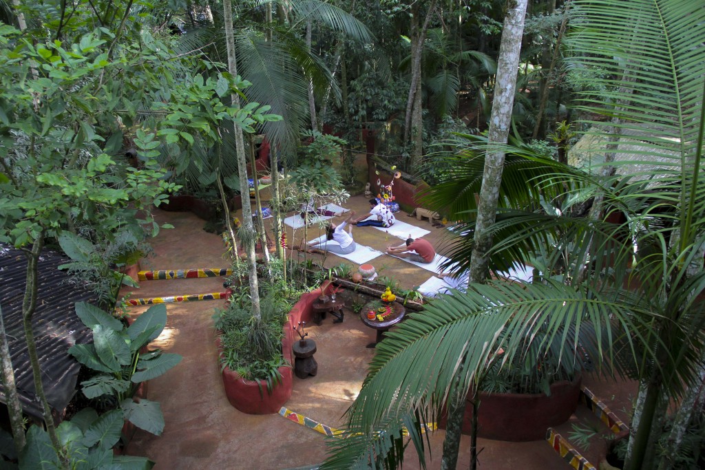 Yoga y meditación en la Selva del Iguazú