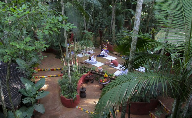 Yoga y meditación en la Selva del Iguazú