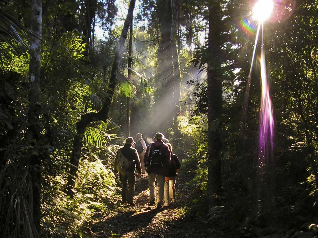 Ecotours opcionales - Caminatas interpretativas por la Selva Misionera