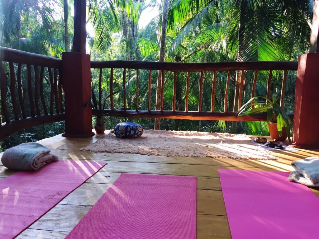 Meditación entre las copas de los árboles.