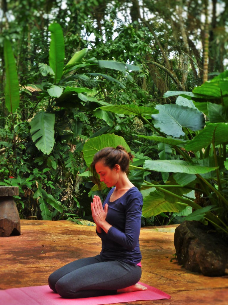 Meditación en la selva