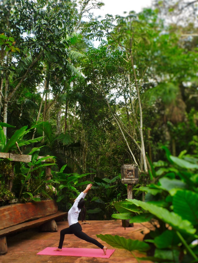 Yoga en la selva