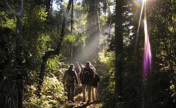 sendero contraluz